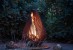Dewdrop L fire pit Glowbus