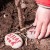 Plant een boom met Growing Trees Network